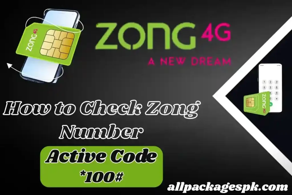 Zong Number Check Code - Updated Guide 2025 2 How to Check Zong Number